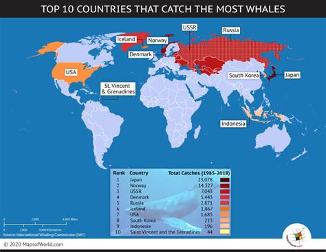 which countries allow whaling